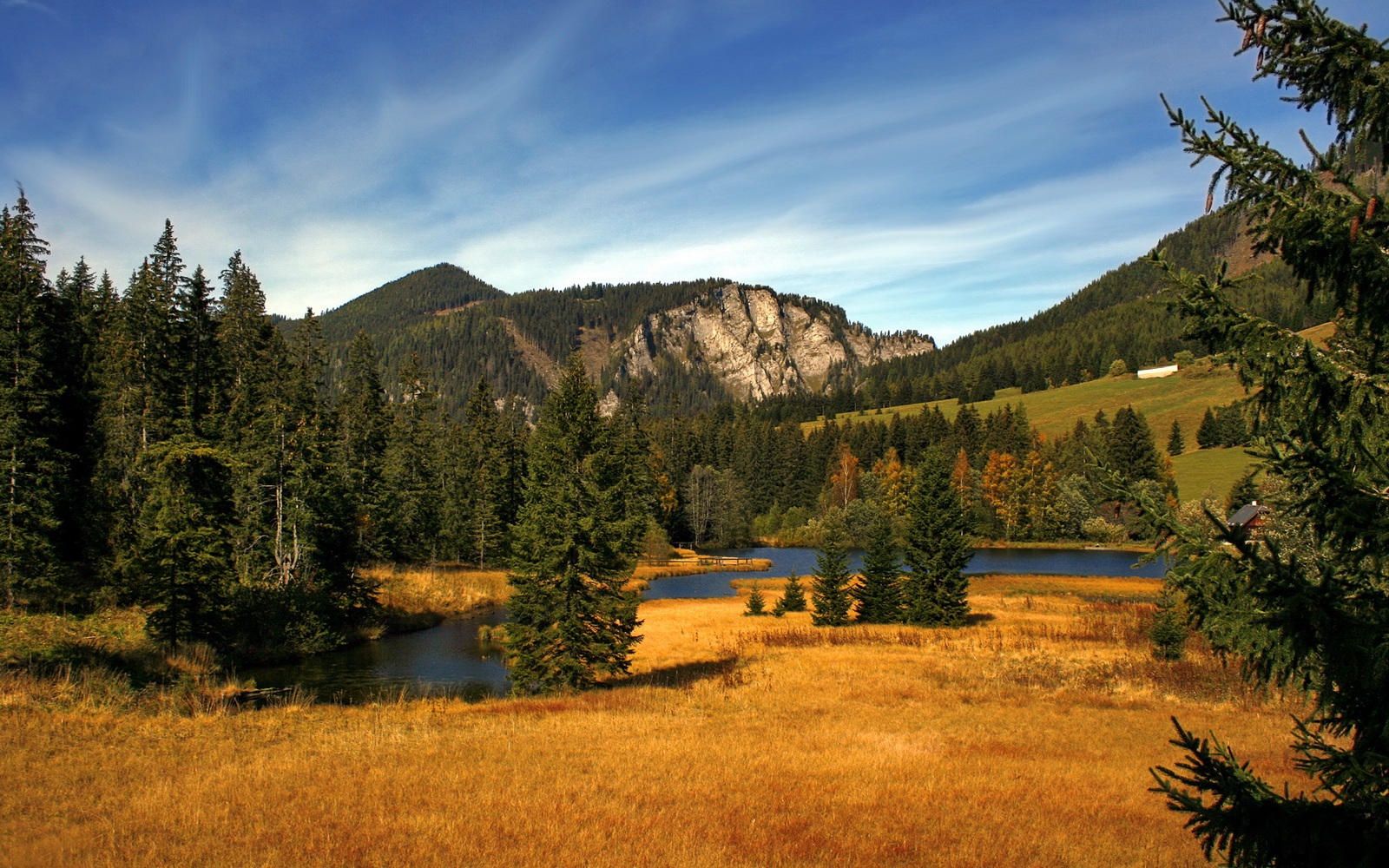 “悬念不断:连败后硬仗中的战术调整与胜利归途”,什么是连胜战